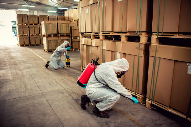 Best Exterminator Services  in Dunwoody, GA
