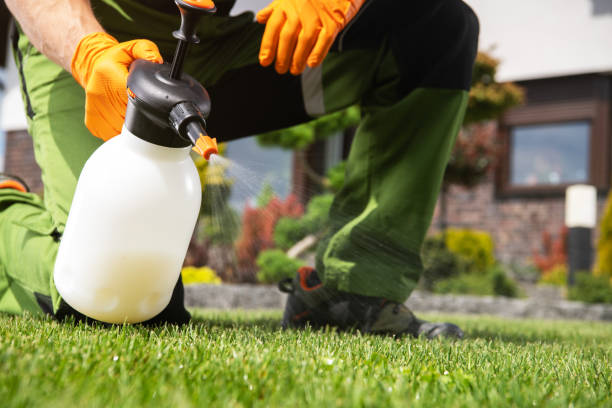 Best Spider Control Near Me  in Dunwoody, GA