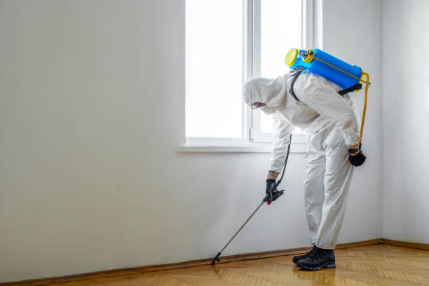 Best Local Pest Control Services  in Dunwoody, GA