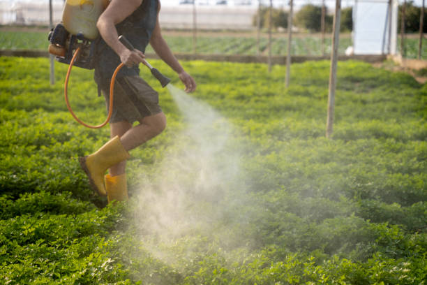 Best Pest Prevention Services  in Dunwoody, GA