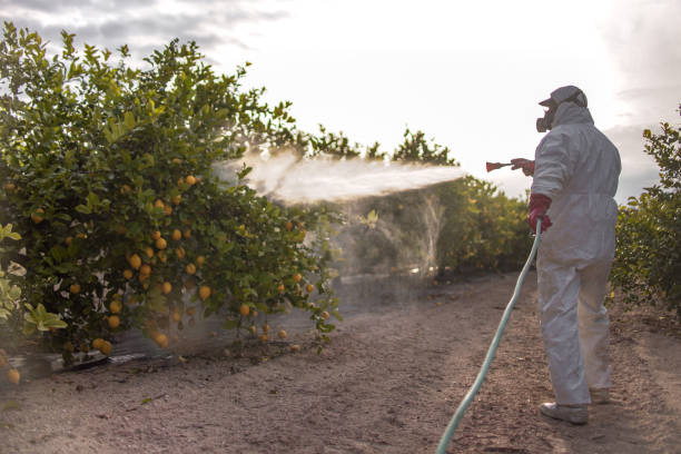 Best Commercial Pest Control Services  in Dunwoody, GA