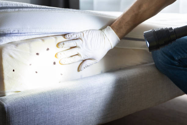 Best Cockroach Control Services  in Dunwoody, GA