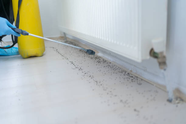 Best Pest Control Near Me  in Dunwoody, GA